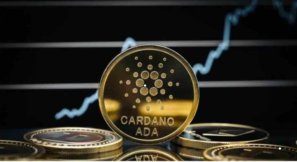 Cardano