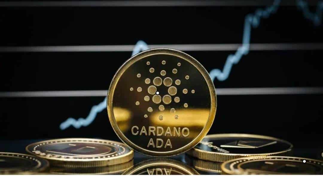 Kan Cardano 1000 euro waard worden?